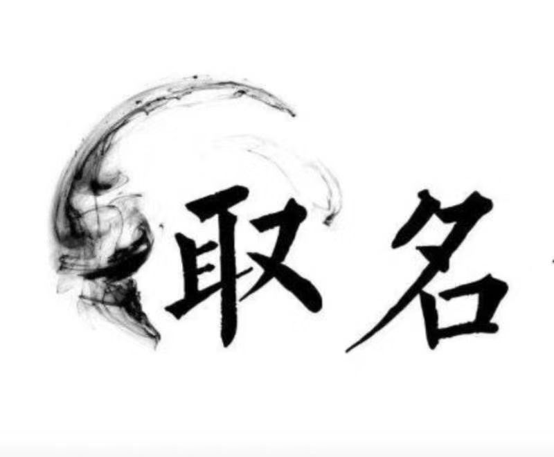  达孜宝宝取名 大师一对一人工起名